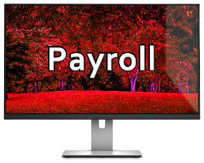 Vision Payroll