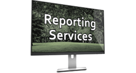 Reporting Services